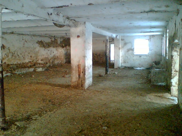Obraz006.jpg